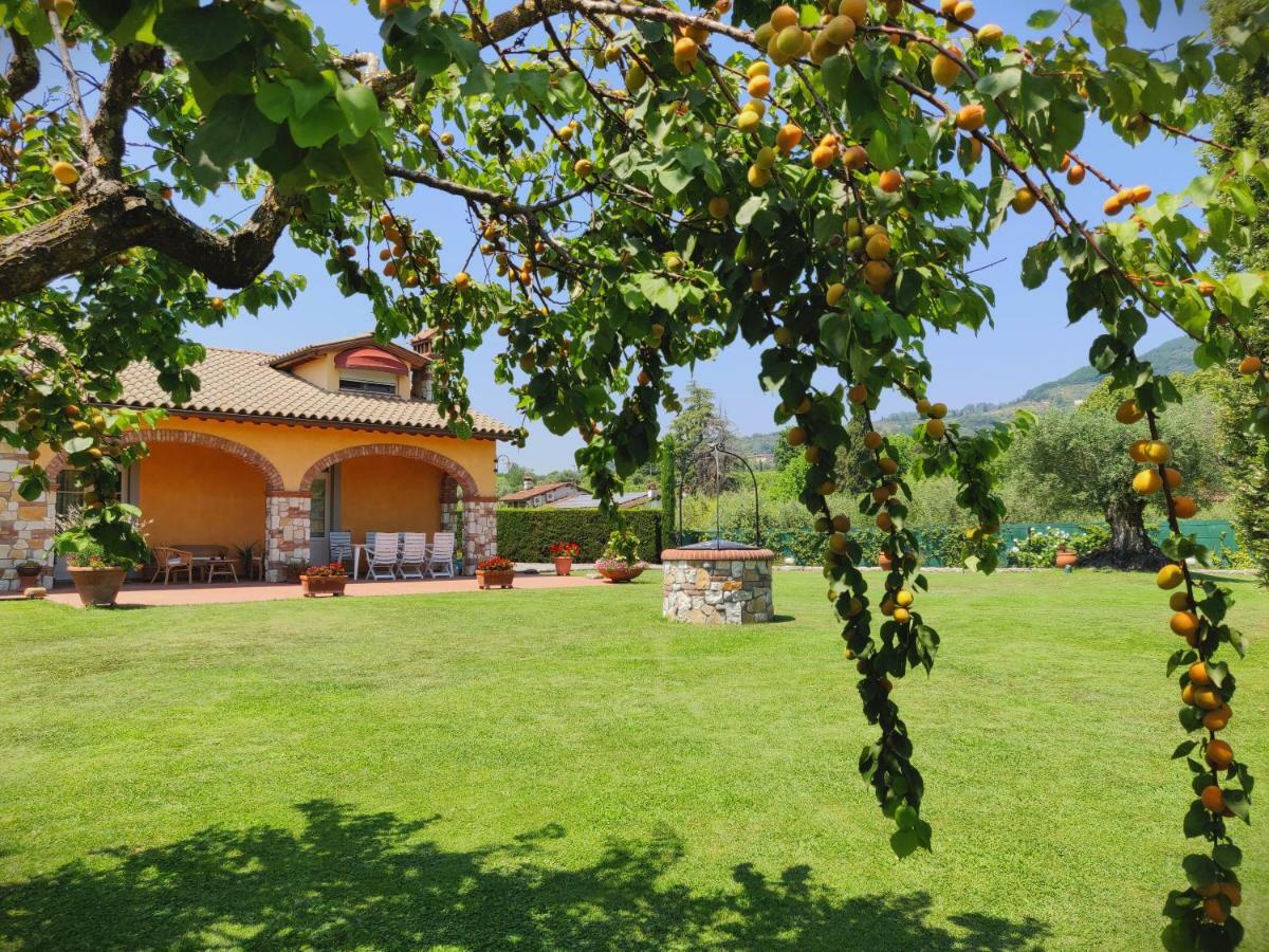Tuscan Villa Exclusive Use Of Private Pool A/C Wifi Villa Briciola Capannori Exterior photo