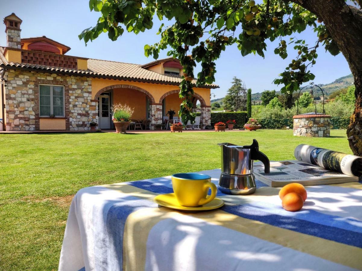 Tuscan Villa Exclusive Use Of Private Pool A/C Wifi Villa Briciola Capannori Exterior photo