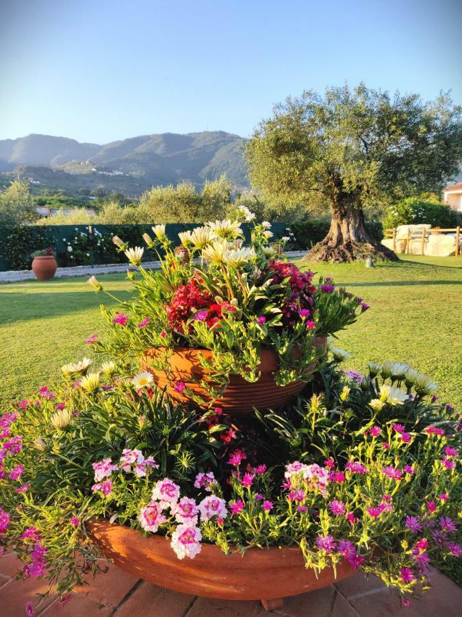 Tuscan Villa Exclusive Use Of Private Pool A/C Wifi Villa Briciola Capannori Exterior photo